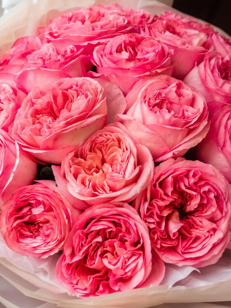 ART BUKET 25 пионовидных роз "Pink expression" - фото 3