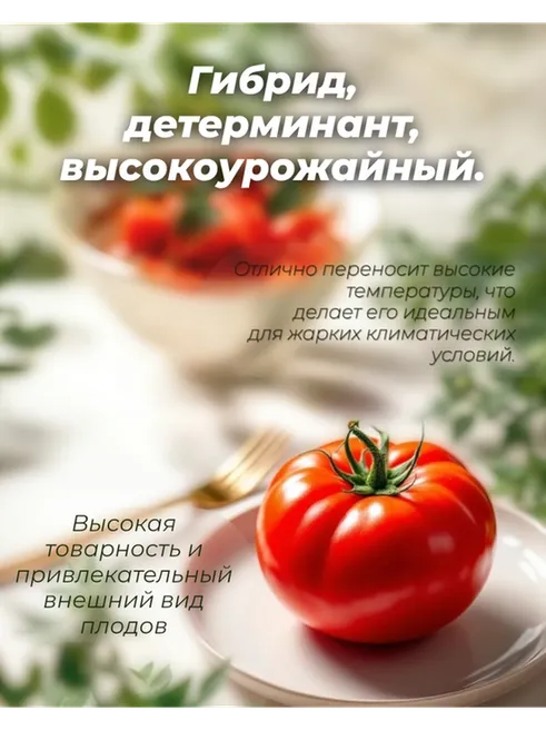 Syngenta томат Вольверин F1 - фото 3