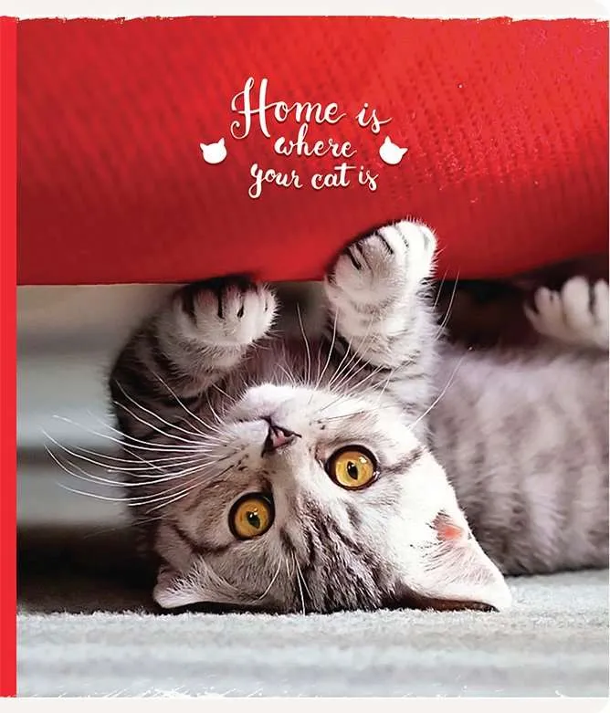 ТЕТРАДЬ 48Л ART SPACE ПИТОМЦЫ WHERE YOUR FRIEND