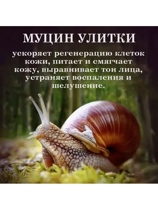 SADOER Snail Reorganize Collagen Cleanser Очищающая пенка для умывания муцином улитки гель-пенка 100 г - фото 3