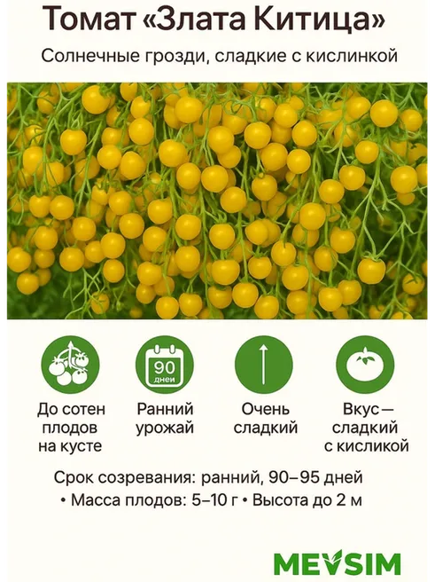 Mevsim томат Коллекционные семена Злата Китица