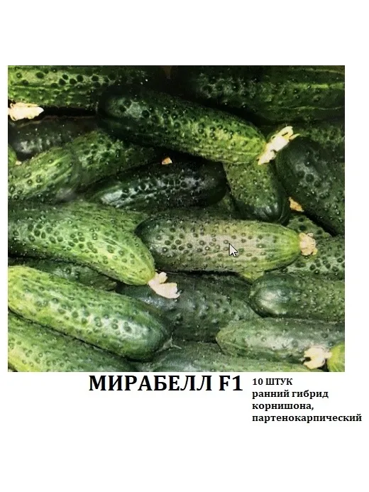 Seminis огурец Мирабелл F1