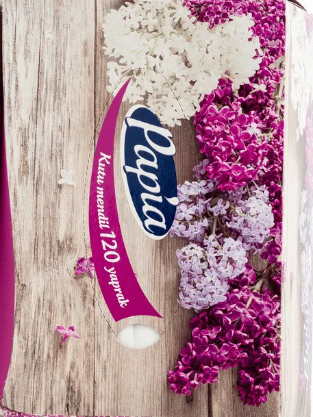 САЛФЕТКИ PAPIA 120ШТ MINI 2-Х СЛОЙНЫЕ В КОРОБКЕ 