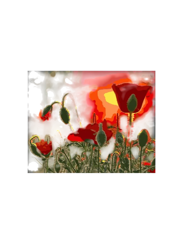 Картина Лори Алые маки картон 40x50