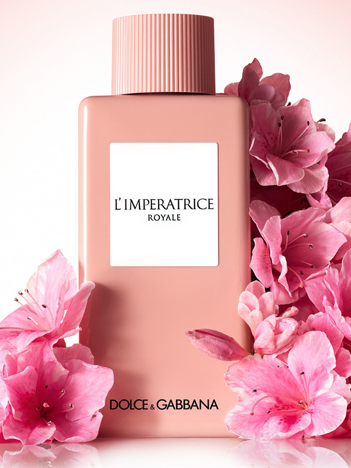 D&G	L' IMPERATRICE ROYALE 2025  Парфюм  Women  на распив 10 мл.