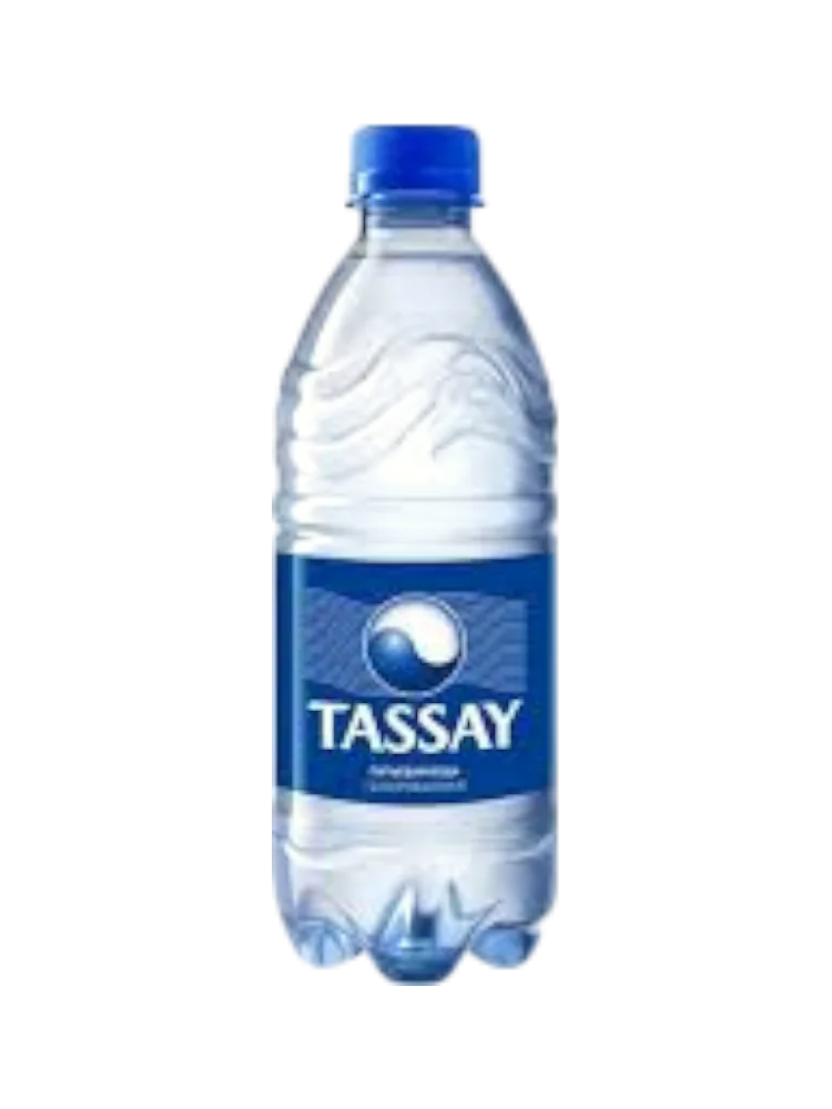ВОДА TASSAY 0.5Л