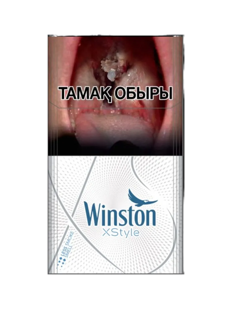 СИГАРЕТЫ WINSTON XSTYLE SILVER - фото 2