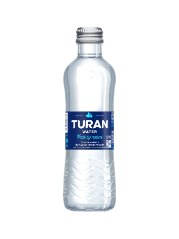 ВОДА TURAN 0.25Л  ГАЗ СТЕК