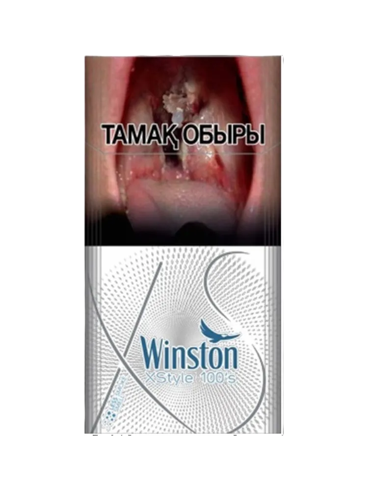 СИГАРЕТЫ WINSTON XSTYLE 100'S(10) - фото 1