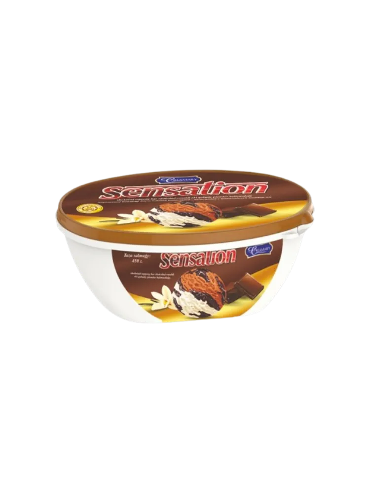 МОРОЖ ICE MASTER SENSATION ПЛОМБИР ДВУХСЛ ШОКОЛАД/ВАНИЛЬ ВАННА 450Г(12) 