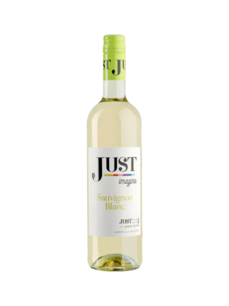ВИНО JUST 0.75Л SAUVIGNON БЕЛ СУХ 12.5%(6) - фото 1