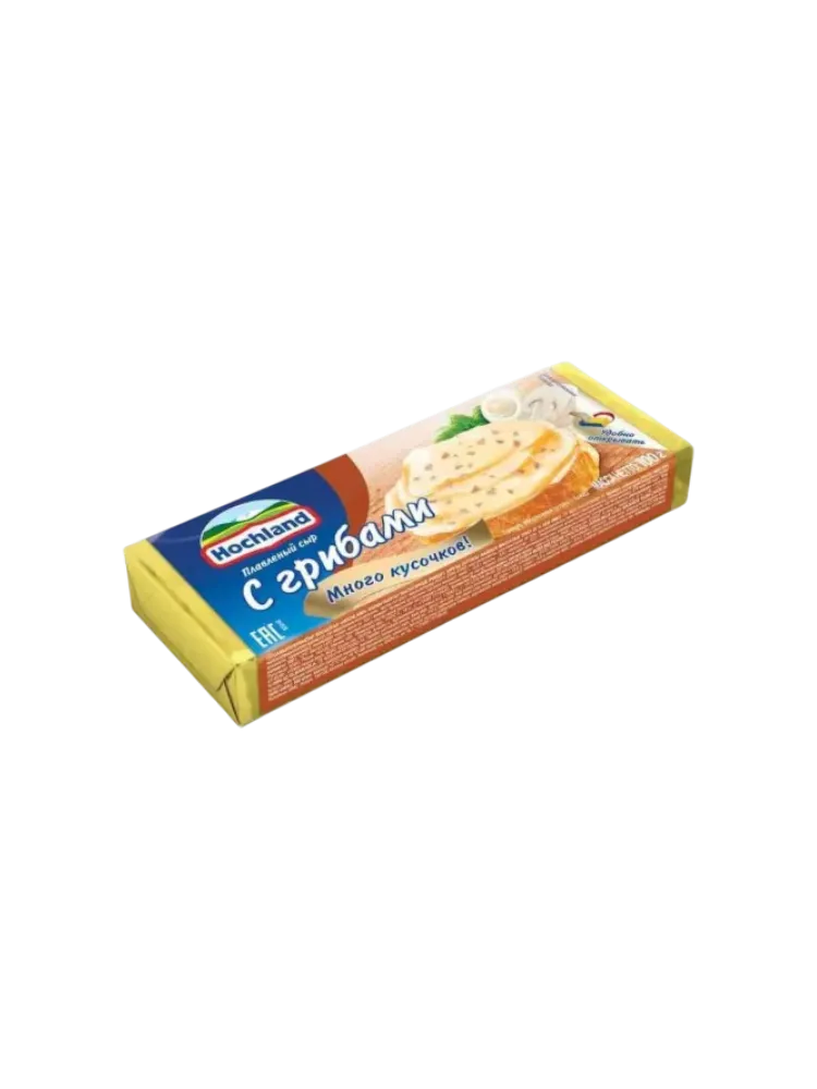 СЫР HOCHLAND 100Г С ГРИБАМИ