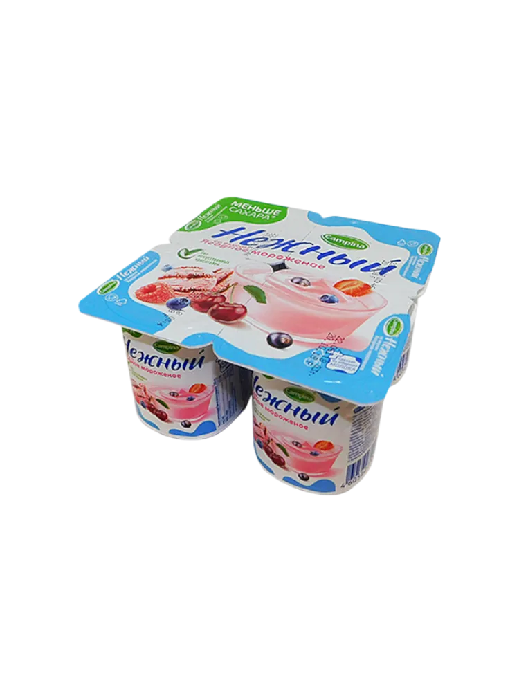 ЙОГУРТ CAMPINA НЕЖНЫЙ 100Г 1.2% ЯГОДНОЕ МОРОЖЕНОЕ