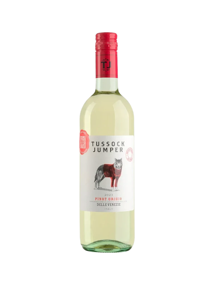 ВИНО PINOT GRIGIO ИТАЛИЯ БЕЛОЕ СУХОЕ 0,75Л  - фото 1