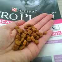 Purina Pro Plan Delicate 1 кг