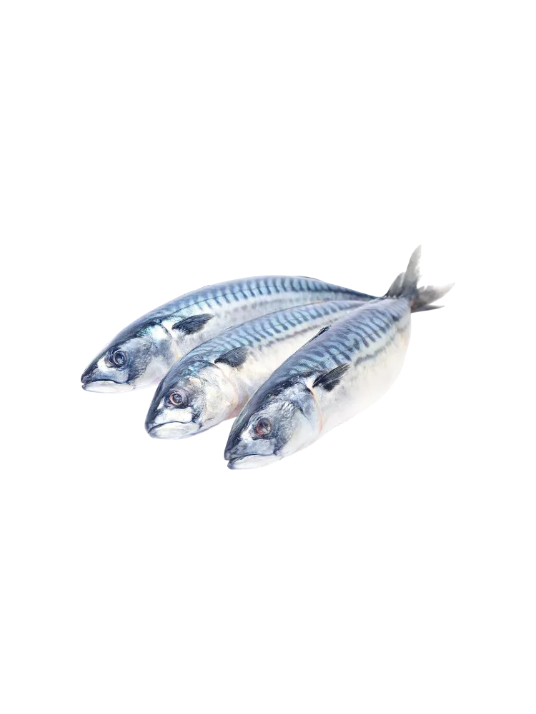РЫБА СКУМБРИЯ СОЛЕНАЯ ВЕС