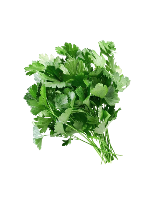 КИНЗА ВЕС