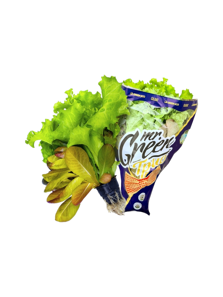 САЛАТ MR GREEN ТРИО 150Г